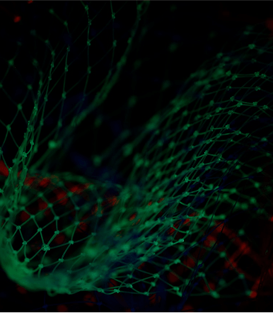 Digital Rights Management